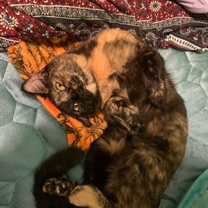 Meet your Posher, Brianna